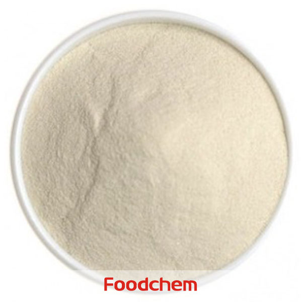 Agar Agar (1000) supplier suppliers